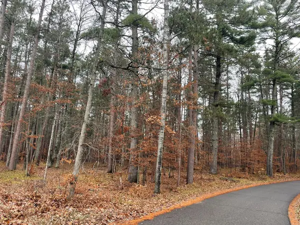 Tract A TBD Driftwood LN, Ideal Twp, MN 56474