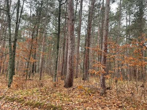 Tract A TBD Driftwood LN, Ideal Twp, MN 56474