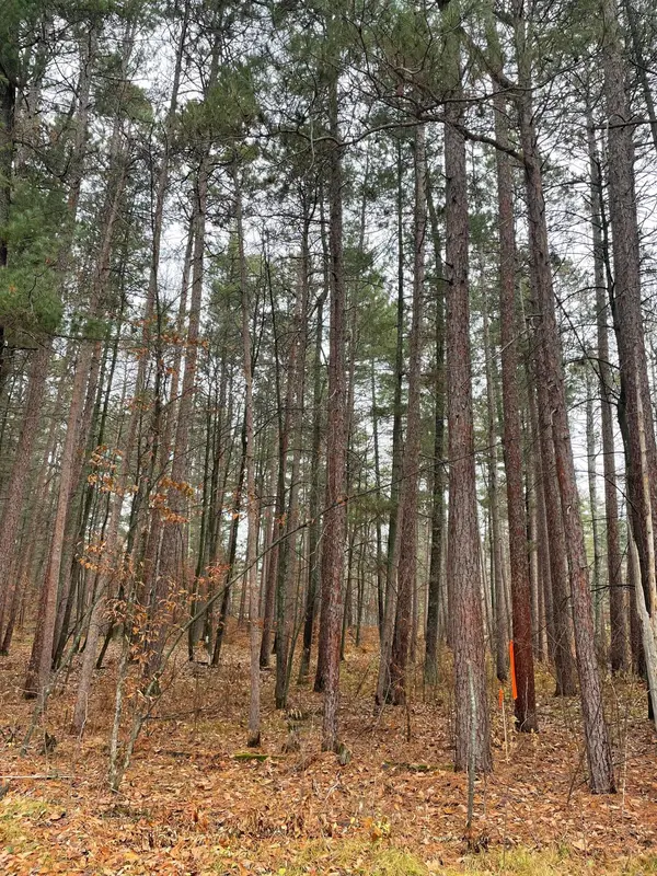 Tract B TBD Driftwood LN, Ideal Twp, MN 56474
