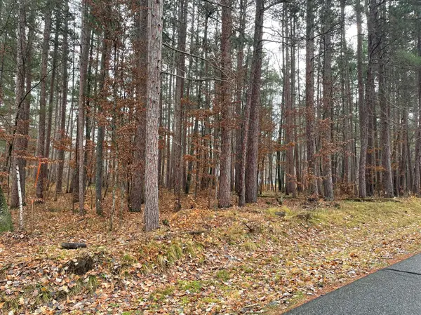 Tract B TBD Driftwood LN, Ideal Twp, MN 56474