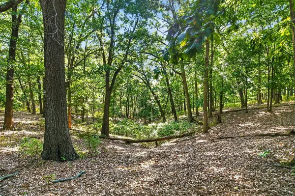 14 Buena Vista Pkwy, Strafford, MO 65757