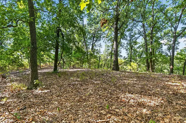 14 Buena Vista Pkwy, Strafford, MO 65757