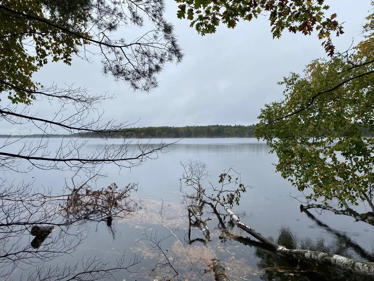Lot 4 River RD, Barnes, WI 54838