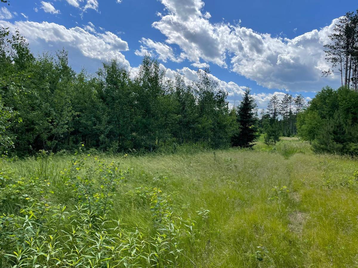 XXX County Rd 145, Jenkins, MN 56472