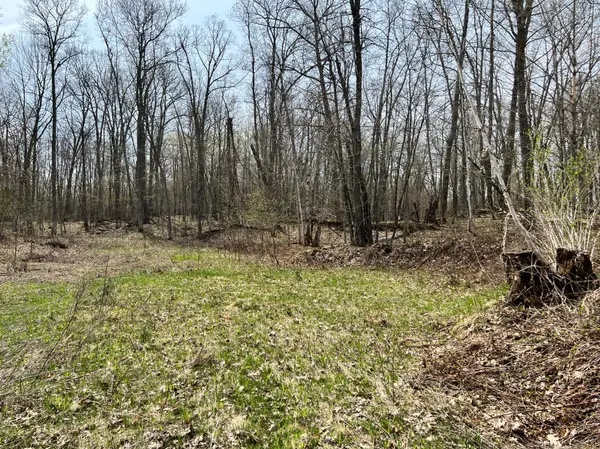 XXXX 140th Ave, Balsam Lake Twp, WI 54810