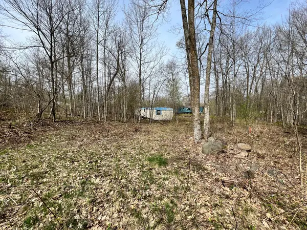 XXXX 140th Ave, Balsam Lake Twp, WI 54810