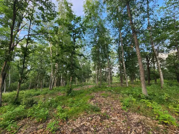 TBD Suffolk DR, Breezy Point, MN 56472