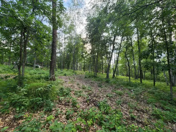 TBD Suffolk DR, Breezy Point, MN 56472