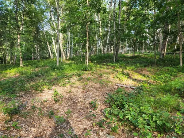 TBD Suffolk DR, Breezy Point, MN 56472