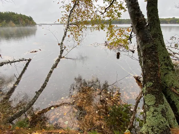 Lot 1 River RD, Barnes, WI 54838