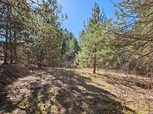 915 Scott DR, Bashaw Twp, WI 54801