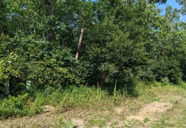 L5 B1 Dakota DR, Breezy Point, MN 56472