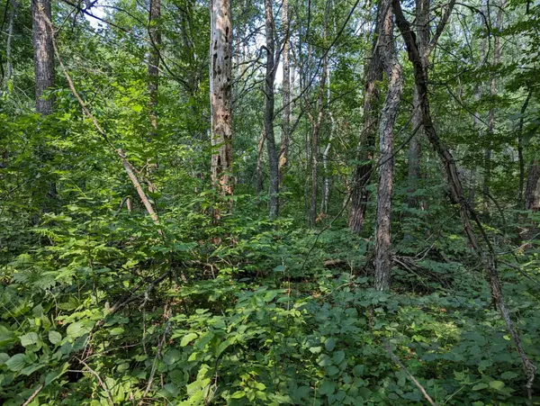 L5 B1 Dakota DR, Breezy Point, MN 56472