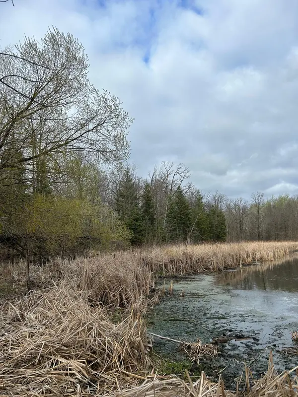 31224 State Highway 34, Erie Twp, MN 56501