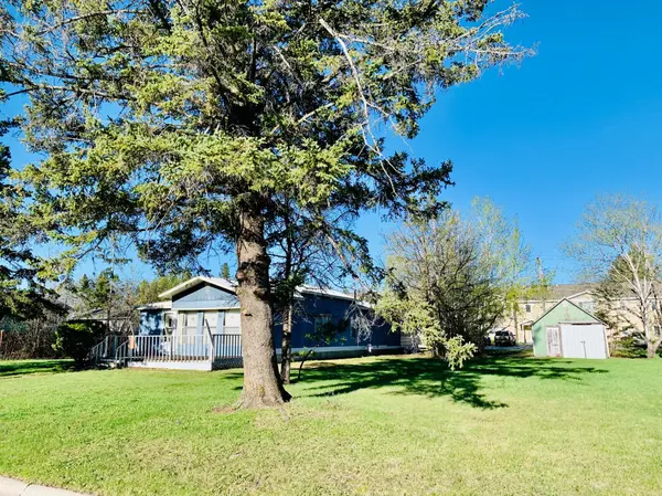 209 4th AVE NW, Baudette, MN 56623