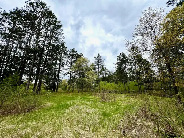 TBD Freedom DR, Menahga, MN 56464