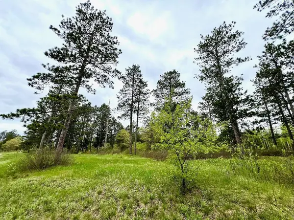 TBD Freedom DR, Menahga, MN 56464