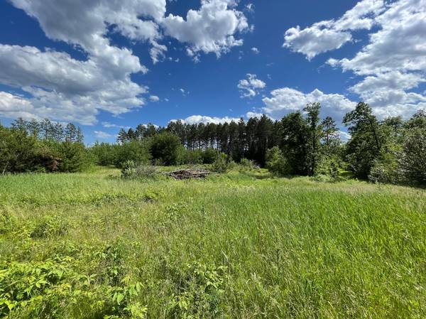 XXX County Rd 145, Jenkins, MN 56472