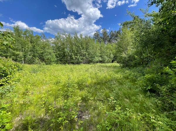 XXX County Rd 145, Jenkins, MN 56472
