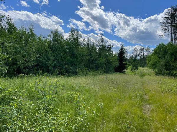 XXX County Rd 145, Jenkins, MN 56472