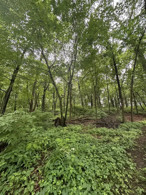 XXX 206th ST, Alden Twp, WI 54026