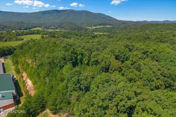 0 Daugherty Spring Rd, Tellico Plains, TN 37385