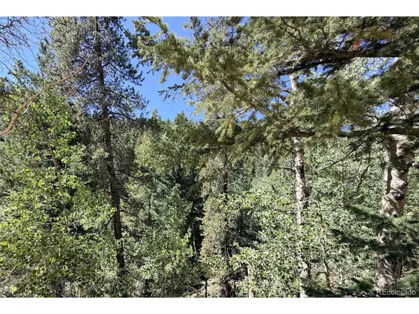 0 Silver Dollar Lode, Georgetown, CO 80444