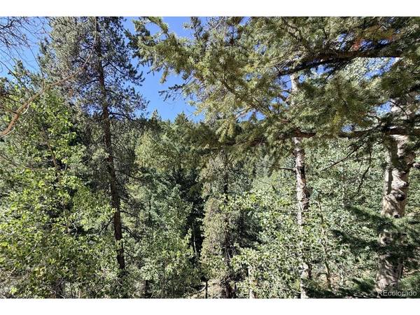 0 Silver Dollar Lode, Georgetown, CO 80444