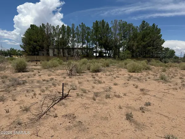 591 Quiet Pine DR, Chaparral, NM 88081