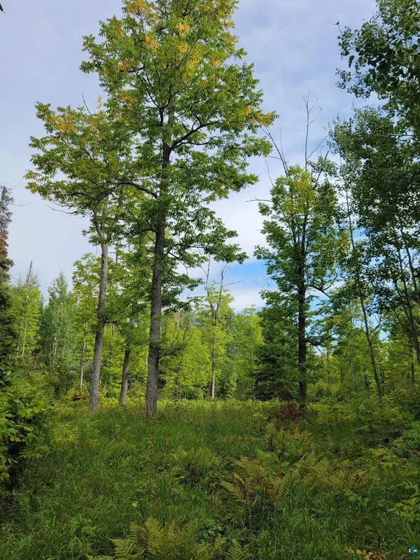 20X Sled Dog Trl, Hovland, MN 55606