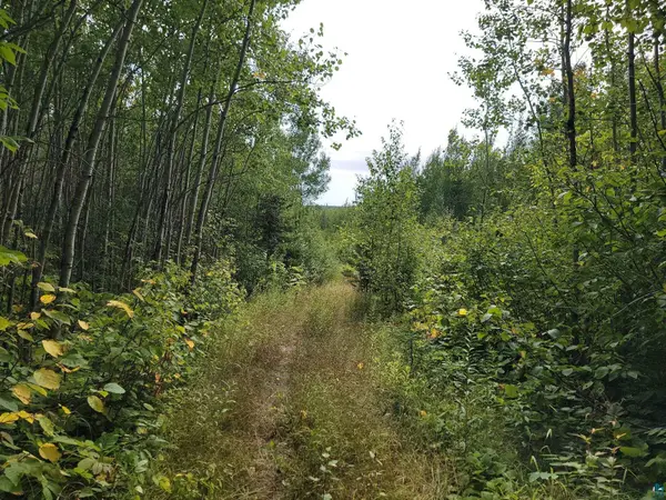 20X Sled Dog Trl, Hovland, MN 55606