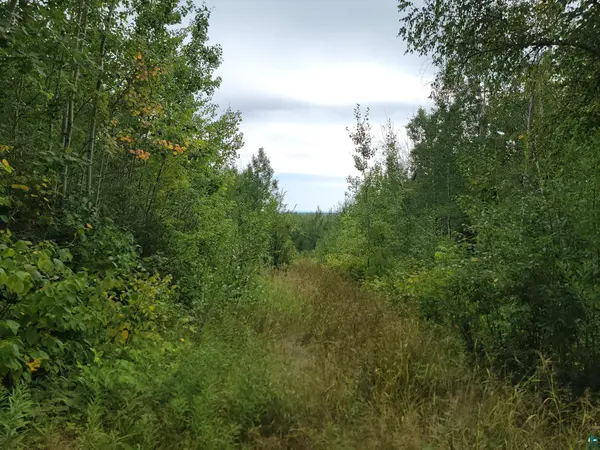 20X Sled Dog Trl, Hovland, MN 55606