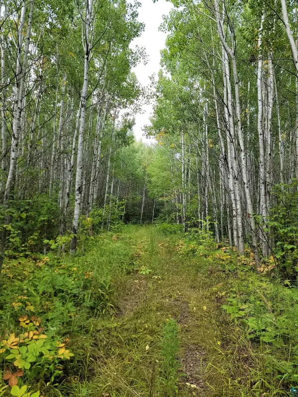 80X Sled Dog Trl, Hovland, MN 55606