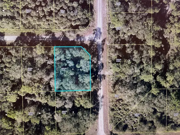 1224 ROSITA ST E, Lehigh Acres, FL 33974