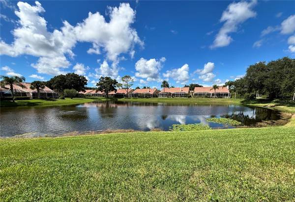 5585 GREYSTON ST, Palm Harbor, FL, 34685 photo 14
