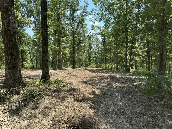 795 Bear Creek Rd, Waverly, TN 37185