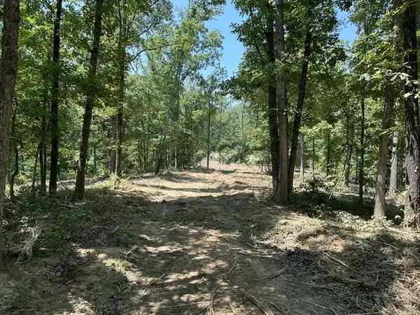 795 Bear Creek Rd, Waverly, TN 37185