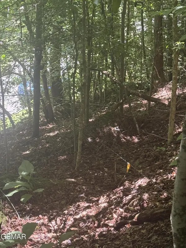 0 Suttons Road, Sevierville, TN 37876