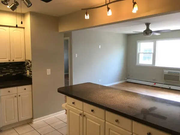 10145 HARTFORD CT #3C, Schiller Park, IL 60176