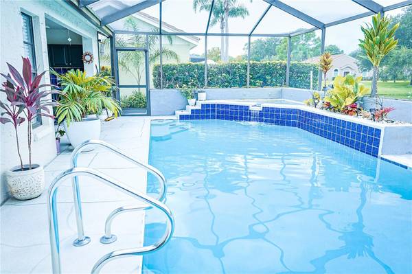 5585 GREYSTON ST, Palm Harbor, FL, 34685 photo 23