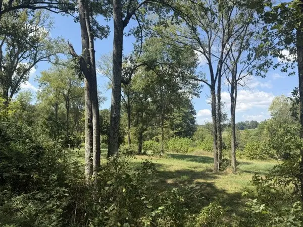 0 Stayton Rd, Cumberland Furnace, TN 37051