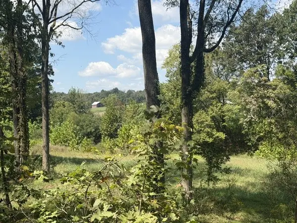 0 Stayton Rd, Cumberland Furnace, TN 37051