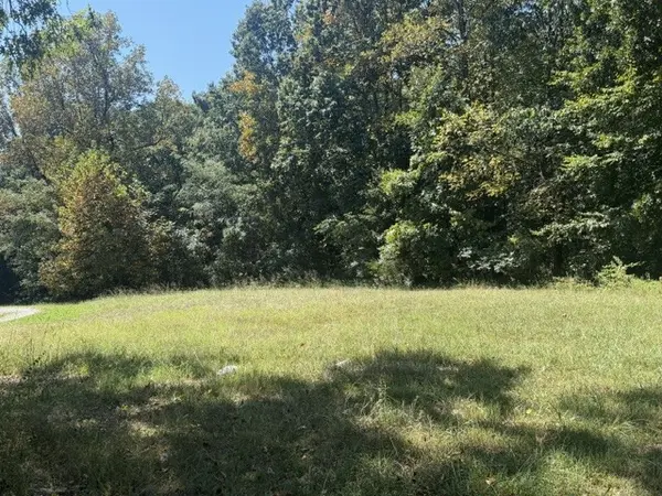 0 Vanleer Hwy, Charlotte, TN 37036