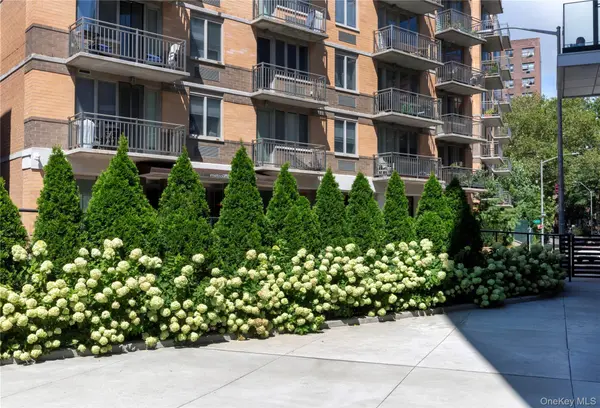 116-11 Curzon RD #4C, Kew Gardens, NY 11418
