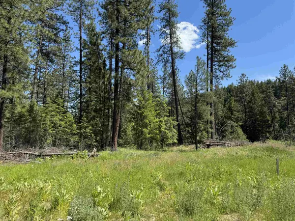 510 N A St #Lot #6, Springdale, WA 99173
