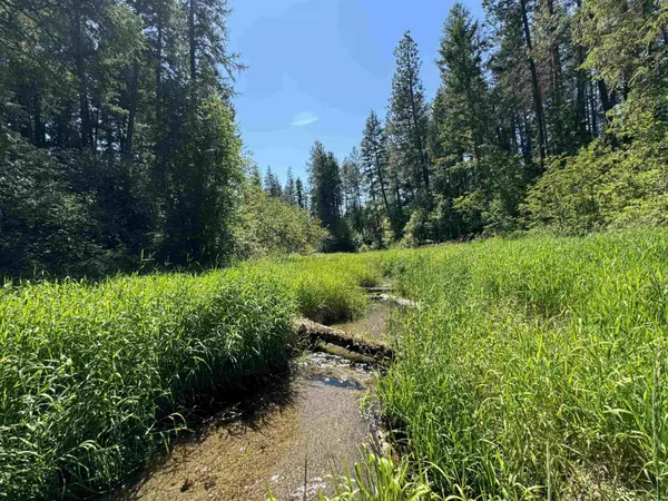 340 N Beck Ln #Lot #9, Springdale, WA 99173