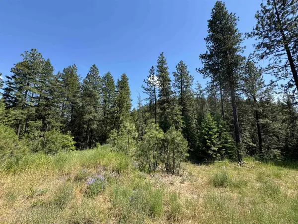 340 N Beck Ln #Lot #9, Springdale, WA 99173