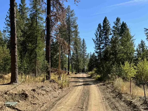 340 N Beck Ln #Lot #9, Springdale, WA 99173