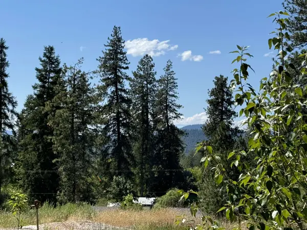 530 N A St #Lot #4, Springdale, WA 99173