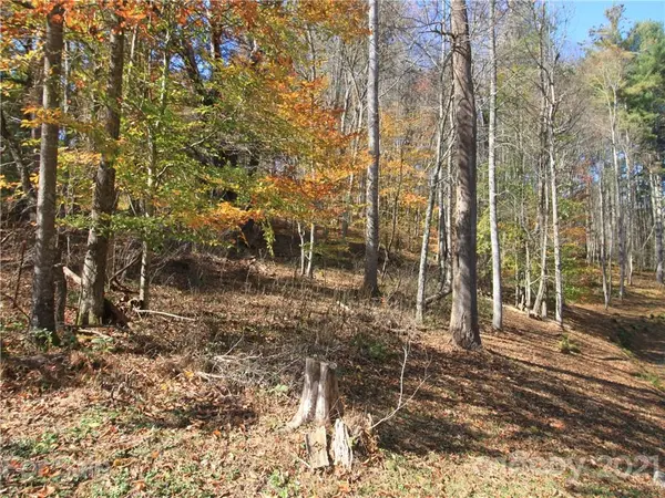 0 Carolina Keep RD #Portion 1, Green Mountain, NC 28740
